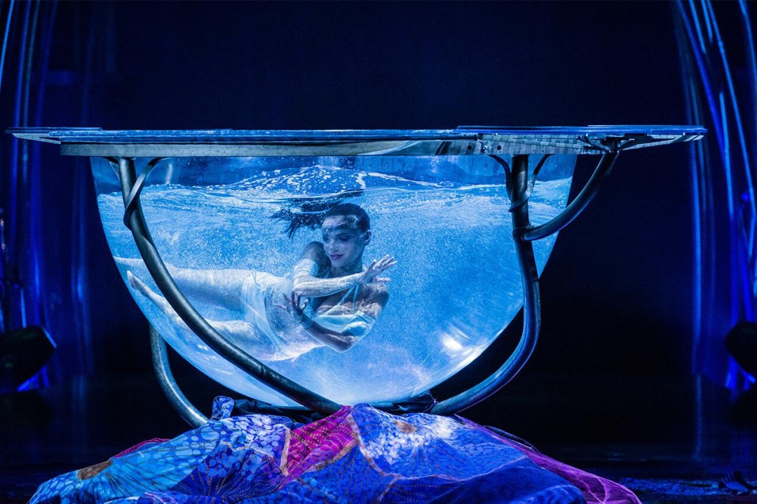 amaluna-act-water-bowl